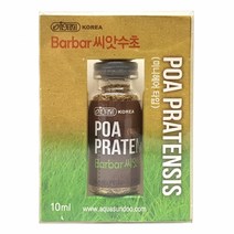 이스타 바바 씨앗수초 (미니헤어타입)