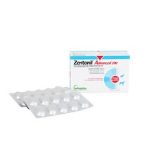 DOG CAT젠토닐 어드밴스 200mg 간보조제 노견묘영양