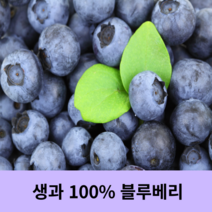 생블루베리 블루베리생과 칠레산 미국산 수입 국산, 1kg