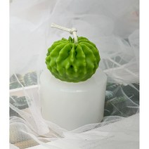 동글 선인장 실리콘몰드 1구 캔들 비누 석고방향제 diy