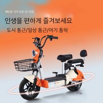 감성 전동 스쿠터 전기 자전거 48V 13AH 출퇴근용, B. 오렌지 탑 / 그래 핀 배터리