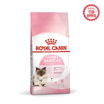 로얄캐닌 마더 앤 베이비 캣 건식사료, 1개, 10kg