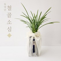 축하 동양난 서양난 개업 승진 집들이 창업선물 취임식 축하 선물용 동서양 보자기난, 01. 동양난 철골소심