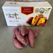 버들농산 영암 토울고구마 꿀고구마 베니하루카 3kg(중), 단품