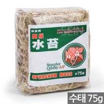 원예용 칠레 수태 75g - 천연수태 난 란 서양란 행잉 바스켓 산야초 관엽식물 모스 이끼 석부작 풍란 토피어리