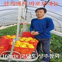 [산지직송] 미식언니 16brix 고당도 프리미엄 가정용 성주참외 3kg 5kg 10kg 로얄과, 프리미엄가정용3kg 로얄과