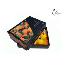 [황금원]과즙이 풍부한 고당도 프리미엄 황금향 3kg (대중과)