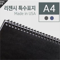 기타 f21 9142023리젠시 A4 100매, 블루, 1개