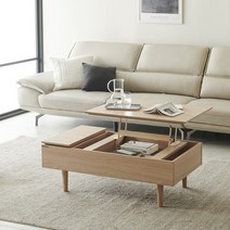 한샘 클린트 피코 리프트업 소파테이블_플랩도어형 105cm 4종/택1, 뉴메이플(C)