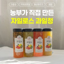 오렌지나무 건강한잼 수제청 자몽청 레몬청 키위 패션후르츠 500g, 레몬청 500g