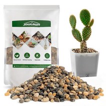 Jowlawn 2.3kg(5파운드) 옥 콩 모래 돌 다육 식물 및 선인장 분재 DIY 프로젝트 바위 식물 및 꽃병 필러용 장식 자갈 테라리움, River Rock_5lb