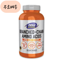 나우푸드 분지쇄 아미노산 BCAA 루신 류신 타블렛 240캡슐 비씨에이에이 bacc, 1개, 240정