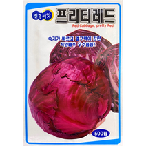 프리티레드씨앗500립 적양배추 진흥종묘