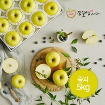 [장길영사과] 시나노 골드 5kg 중과(17~19과내), 상세 설명 참조