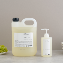 생활공작소 주방세제 4L + 500ML (향 4종 택1), 석류식초향
