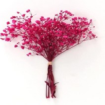 부케돔 미니 건조 아기 숨결 아이보리 흰색 꽃다발 헤어 웨딩 테이블 홈 크리스마스 가을, 1.Pink - 30g