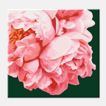 (물감2배) diy 명화그리기 핑크 블라섬 모란꽃 목단 40x40 꽃그림 아크릴 유화 색칠하기 그림 집콕놀이 취미생활 그리기 쉬운