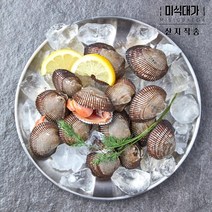 당일조업 남해안 피조개 피꼬막 꼬막, 6kg, 1개