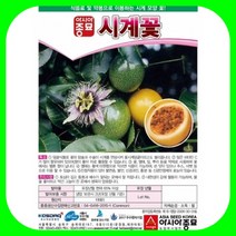 시계꽃 10립 / 패션후르츠 꽃씨 씨앗