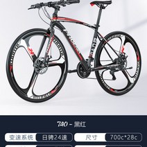 피닉스 로드 바이크 자전거 학생 출퇴근 입문용 30만원대 선물, 24단, E