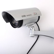 BIGHOS 현관문 모형 카메라 위장 CCTV 야외용 시골집 식당용