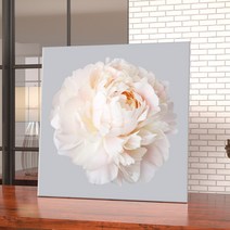 모란꽃 목단꽃 돈들어오는 그림 한국화 캔버스액자 집들이선물, 25.화이트 피오니