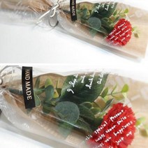 비누꽃 카네이션 장미 한송이꽃다발, 카네이션-연핑크