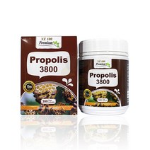 엔젯100 프로폴리스 3800 300정 NZPP300 사은품