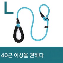 비웅견 전용 견인끈 강아지끈 방폭펀치체인산책견탈출방지 대소형견줄 묶기, 색깔6, 로프 길이 [1.4 m]