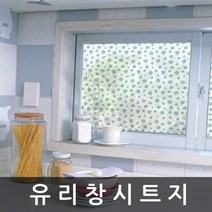 유리 창 시트지 샤워부스 필름 1m x 1m (T679)