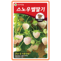 스노우벨딸기씨앗(흰색딸기) 100립 식용관상용 텃밭채소 채소기르기 실내정원 가정원예