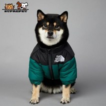 2023 SUPREPET패딩 개 겨울 옷 따뜻한 방풍 솔리드 코트 코튼 디자이너 대형 강아지 액세서리, green+4XL