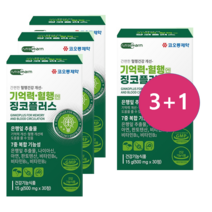 혈액순환 영양제 징코플러스 120정 은행잎추출물 혈행개선에 도움, 3+1 징코플러스 120정
