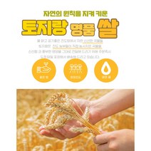 100% 국내산 진도 유색미(녹미 홍미) 20kg, 홍미20kg, 1개