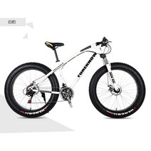 펫자전거 바퀴큰 성인 mtb 팻 바이크, 27단, 24인치, 2. 화이트