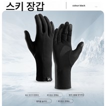 장갑 겨울 아웃도어 방한 보온남 터치 미끄럼 방지 전기 오토바이 라이딩 스키 장갑 안감81459, DB66블랙, M