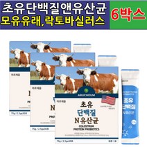 산양유 초유 단백질 유산균 추천 mbp 가루 분말 스틱 식사대용 바쁜일상 프로틴 보충 프락토올리고당 락토바실러스 플랜타룸 람노서스 lgg 카제이 비피덤 락티스 아시도필러스 루테리, 초유 단백질 6박스