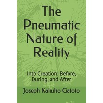 The Pneumatic Nature of Reality: Into Creation: Before During and After Paperback, Independently Published