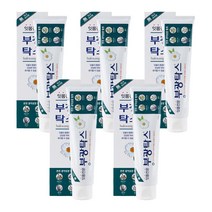 부광약품 치약 부광탁스 120g x 5개