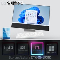 LG 일체형PC(12세대) 24V70Q-GR3TK [이벤트 한컴오피스 증정], 램8GB + SSD2TB