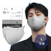 시노텍스 라이트그레이 귀편하고 숨쉬기편한 국내 자체생산 ePTFE 프리미엄 필터 마스크, 라이트그레이대형(L) 100매, 1개