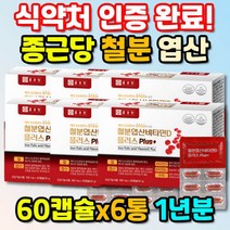 청소년 철분 엽산 비타민 B D 비 디 헴철 철분제 추천 멀티 햄철 고함량 하루한번 성인 여성 남성추천