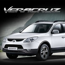 베라크루즈 LED (09~12년)-번호판등만 구매, 화이트