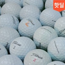 골프 메이저브랜드 화이트 장타 연습볼 로스트골프공 중고볼 10개 세트, 일반브랜드 화이트 A.A- 10알, 10구