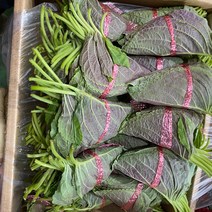 일등야채 (특) 깻잎 5묶음, 1개