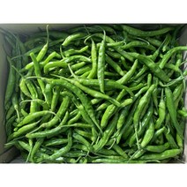 패밀리 국내산 싱싱한 꽈리고추 500g 1kg 2kg 4kg, 꽈리고추 특품 4kg