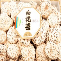 더해담 백화고 표고세트 특호 강원도 산골 참나무 느타리 송이 생 국산상황 새 키우기 자연산 몸에좋은, 단품