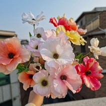 양귀비 조화 6color 도매 미니 인테리어 생화같은, 올셀 개나리 노랑