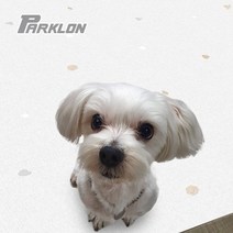 강아지매트 거실 DIY 애견 방수 반려 매트 베란다 쿠션 강아지 롤 묘 애견매트 ghddprjs*973886110gS, 무지그레이(15T)(2장)