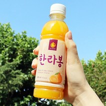 삿갓유통 제주 청정 무농약주스 10병 한라봉 감귤 청귤 300ml, 올레원 한라봉주스 10병